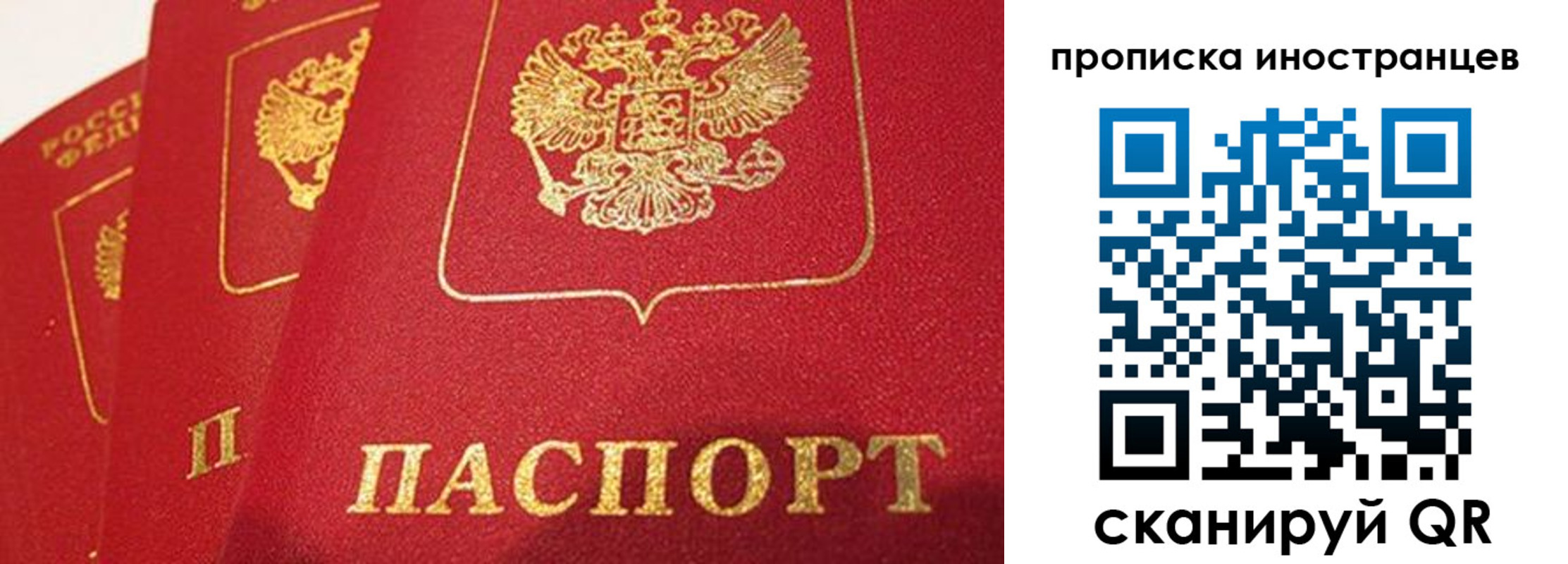 прописка поиск в Ступино